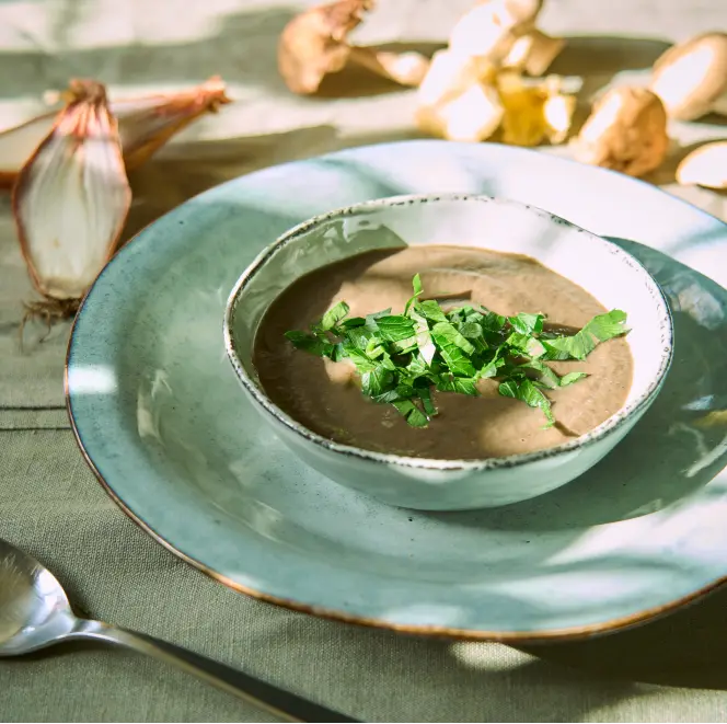 Nourishing soup at DMP Retreats